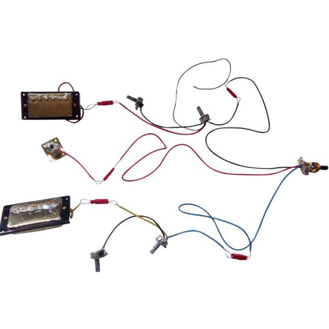 Electric Guitar DIY Kit Semi hollow LPSH Flamed Maple Veneer Gold Fittings Non Soldering