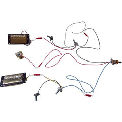 Electric Guitar DIY Kit Semi hollow LPSH Flamed Maple Veneer Gold Fittings Non Soldering